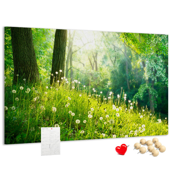 Kurk prikbord met een afbeelding van een groen bos met bloeiende paardenbloemen
