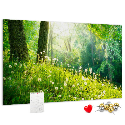 Kurk prikbord met een afbeelding van een groen bos met bloeiende paardenbloemen