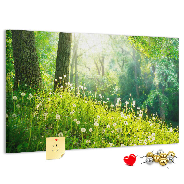 Kurk prikbord met een afbeelding van een groen bos met bloeiende paardenbloemen