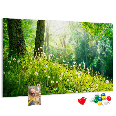 Kurk prikbord met een afbeelding van een groen bos met bloeiende paardenbloemen