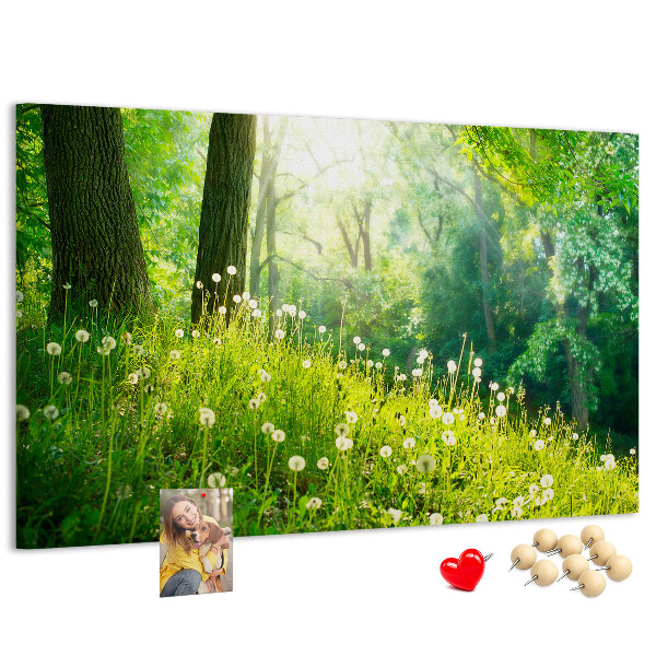 Kurk prikbord met een afbeelding van een groen bos met bloeiende paardenbloemen