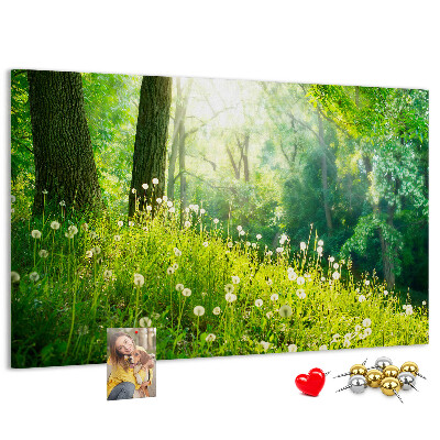 Kurk prikbord met een afbeelding van een groen bos met bloeiende paardenbloemen