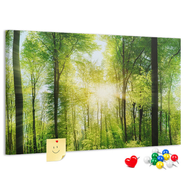 groen bos met zonnestralen
