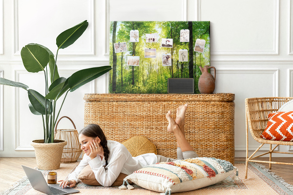Kurkbord groen bos met zonnestralen