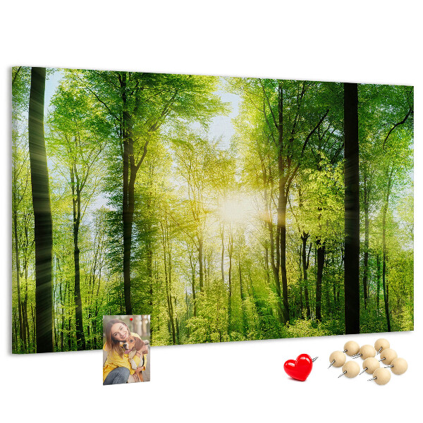 Kurkbord groen bos met zonnestralen