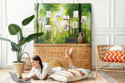 Kurkbord groen bos met zonnestralen