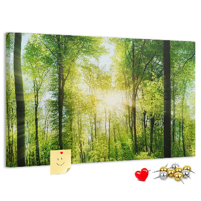 Kurkbord groen bos met zonnestralen