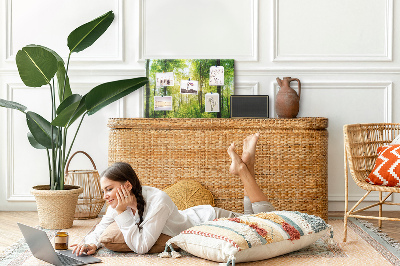 Kurkbord groen bos met zonnestralen