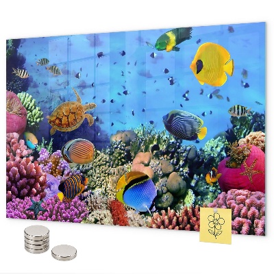 Magneetbord Onderwaterleven