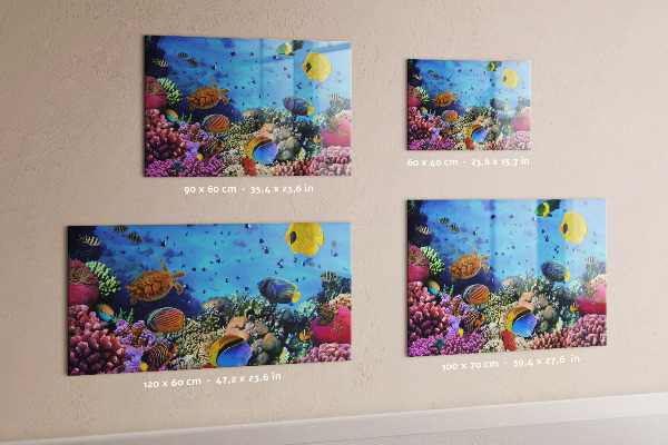 Magneetbord Onderwaterleven