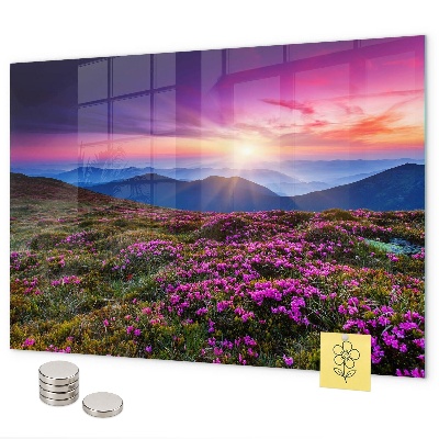 Magneetbord Zonsopgangbloemen