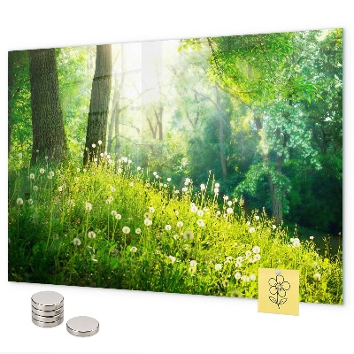 Magnetisch bord Lente natuur