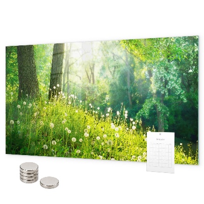 Magnetisch bord Lente natuur