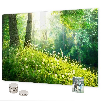 Magnetisch bord Lente natuur