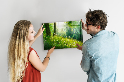 Magnetisch bord Lente natuur