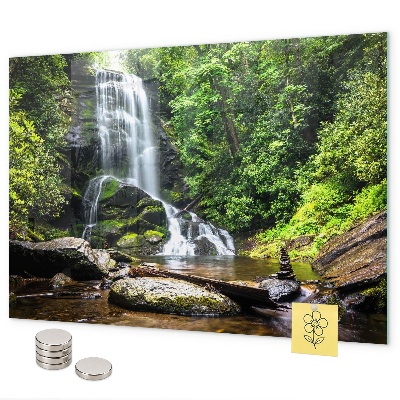 Magnetisch bord Boswaterval