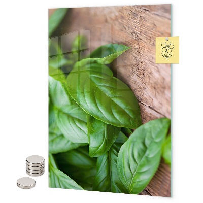 Magnet board Basilicum