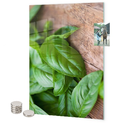 Magnet board Basilicum