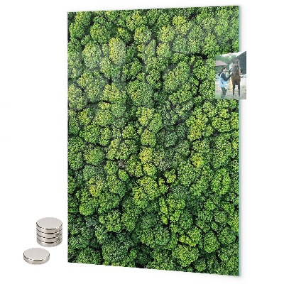 Magnet board Basilicum