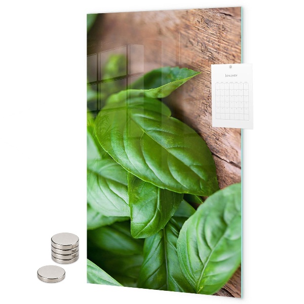 Magnet board Basilicum