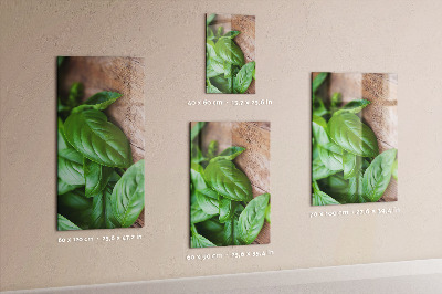 Magnet board Basilicum