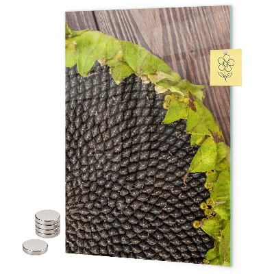 Magneet bord Zonnebloempitten
