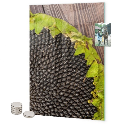 Magneet bord Zonnebloempitten
