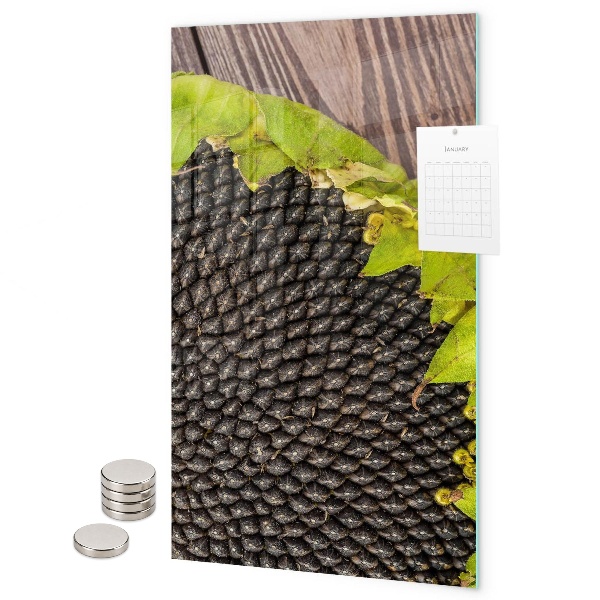 Magneet bord Zonnebloempitten