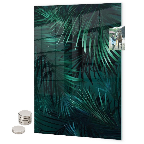 Magneet bord Avocado