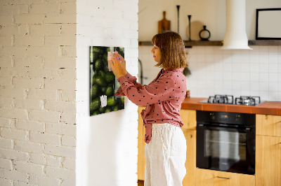 Magneet bord Avocado