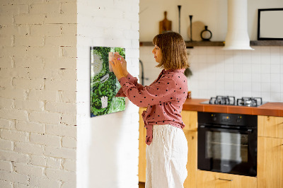 Magneet bord Sappige sla