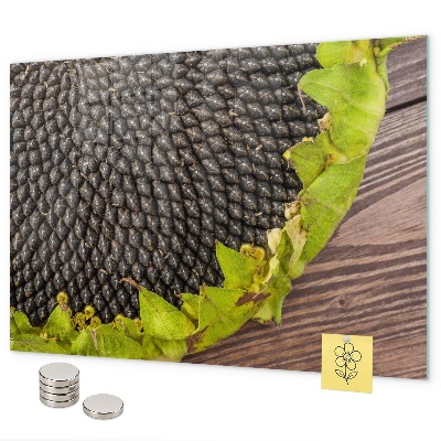 Magnetisch bord Zonnebloem