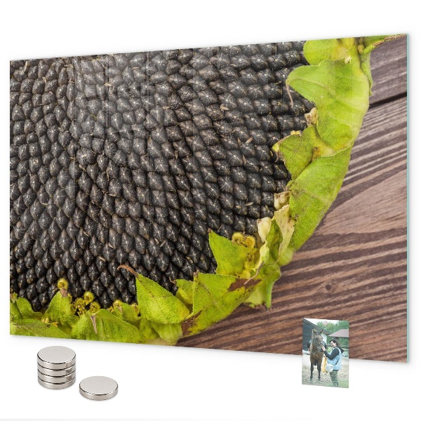 Magnetisch bord Zonnebloem