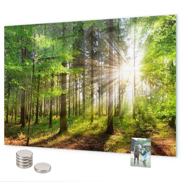Magneetbord Zonsopgang in het bos