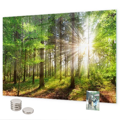 Magneetbord Zonsopgang in het bos