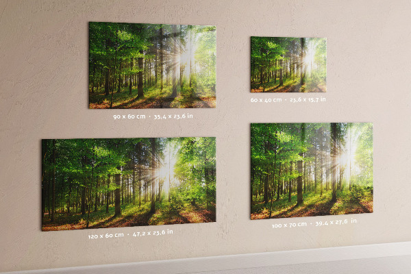 Magneetbord Zonsopgang in het bos