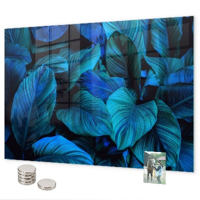 Magneetbord Tropische natuur