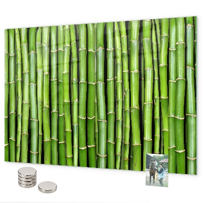 Magnetisch bord Bamboe muur