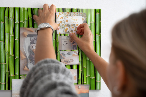 Magnetisch bord Bamboe muur