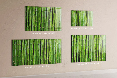 Magnetisch bord Bamboe muur