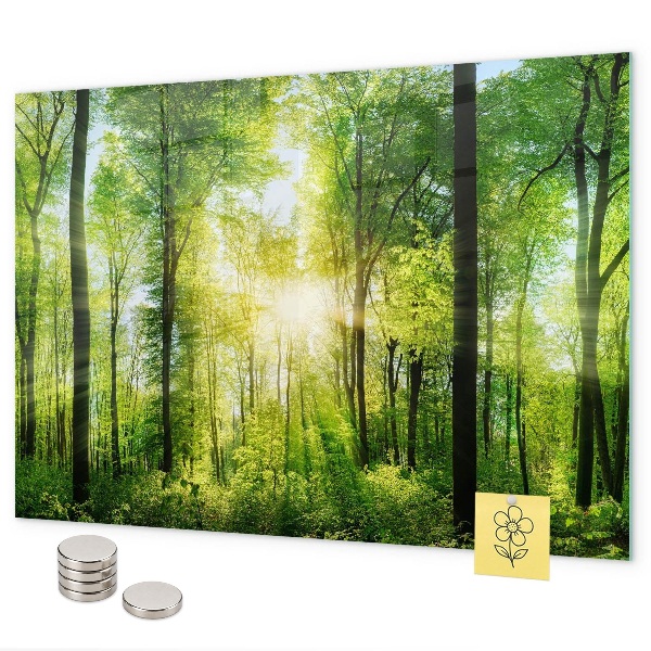 Bosbomen in de natuur