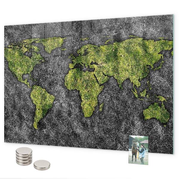 Magnetisch bord Wereldkaart