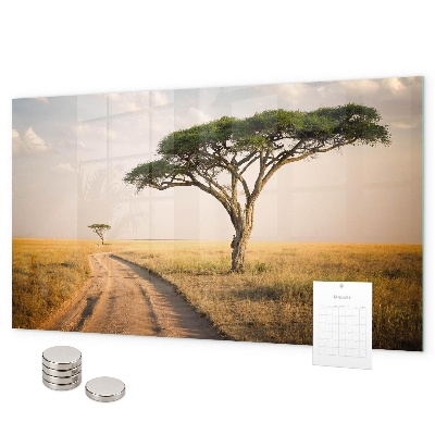 Magnetisch bord Afrikaans landschap