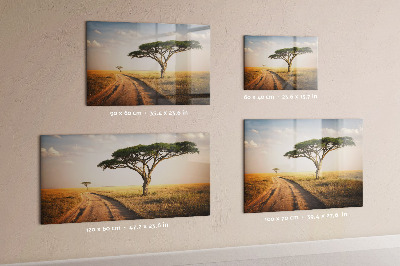 Magnetisch bord Afrikaans landschap