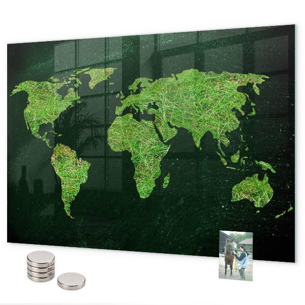 Magnetisch bord Wereldkaart met gras