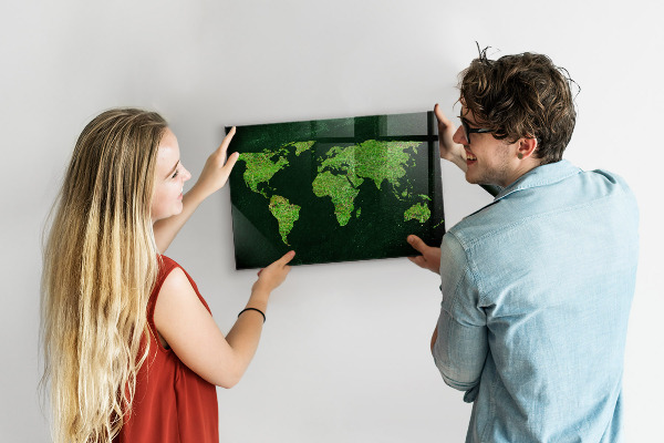 Magnetisch bord Wereldkaart met gras
