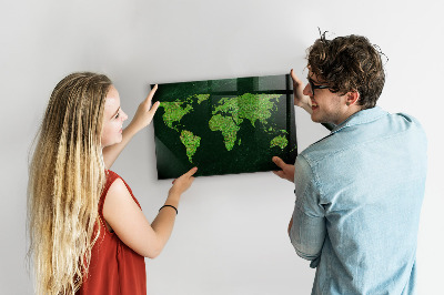 Magnetisch bord Wereldkaart met gras