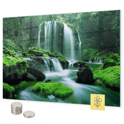 Magnetisch bord Waterval tussen het mos