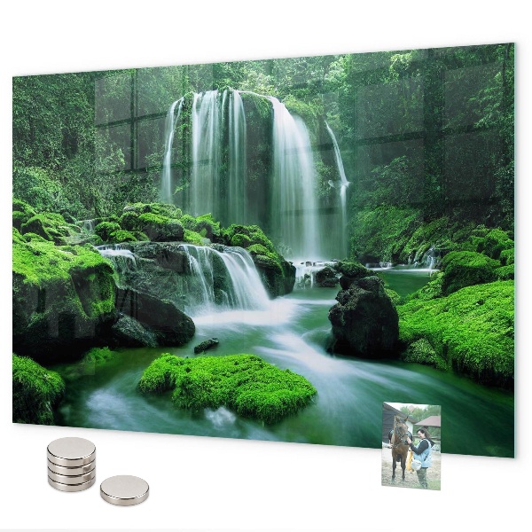 Magnetisch bord Waterval tussen het mos