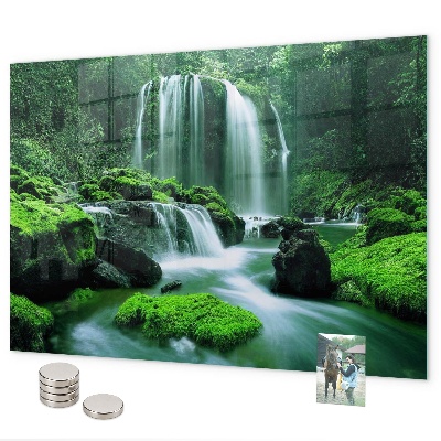 Magnetisch bord Waterval tussen het mos